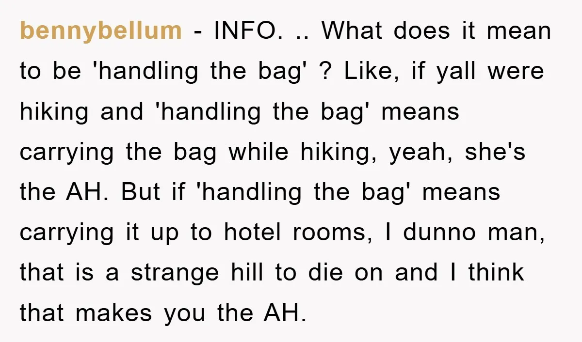 bennybellum − INFO. .. What does it mean to be 'handling the bag' ? Like, if yall were hiking and 'handling the bag' means carrying the bag while hiking, yeah,...