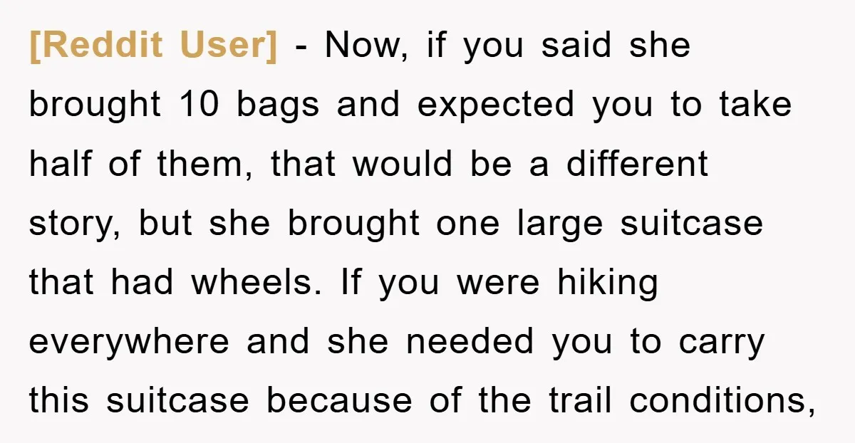 [Reddit User] − Now, if you said she brought 10 bags and expected you to take half of them, that would be a different story, but she brought one large...
