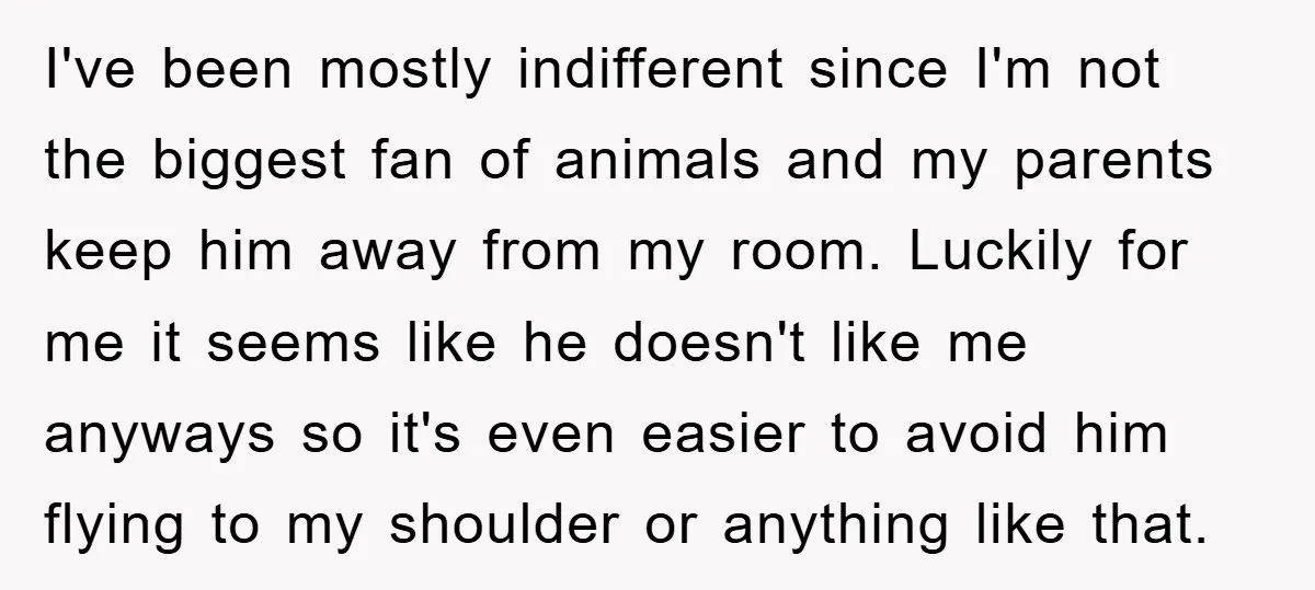 I've been mostly indifferent since I'm not the biggest fan of animals and my parents keep him away from my room. Luckily for me it seems like he doesn't like...