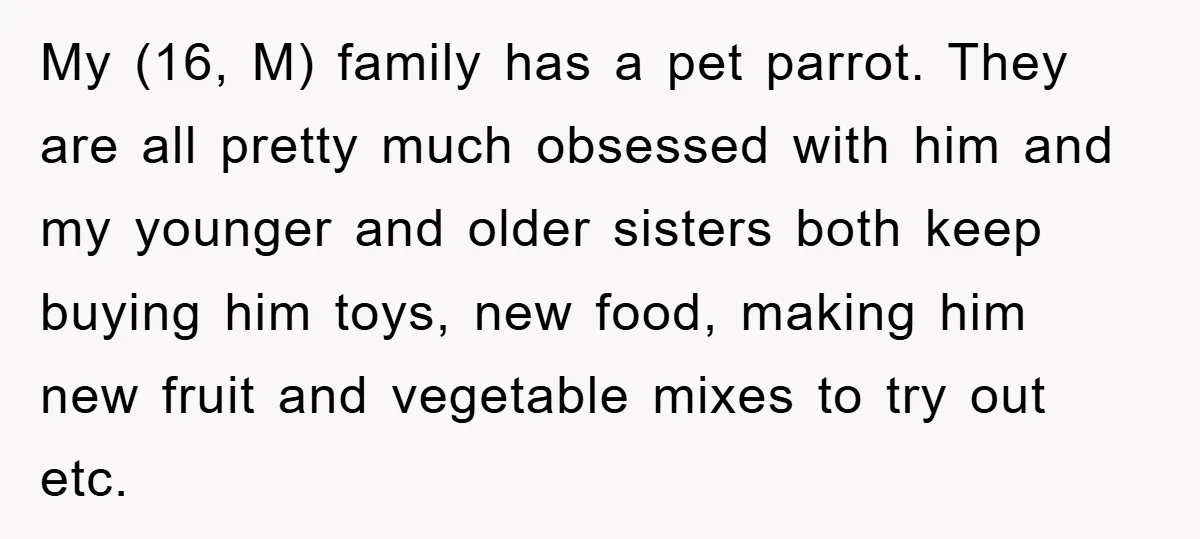 My (16, M) family has a pet parrot. They are all pretty much obsessed with him and my younger and older sisters both keep buying him toys, new food, making...