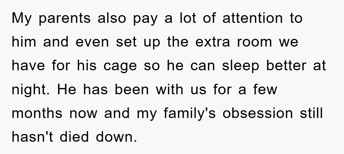 My parents also pay a lot of attention to him and even set up the extra room we have for his cage so he can sleep better at night. He...