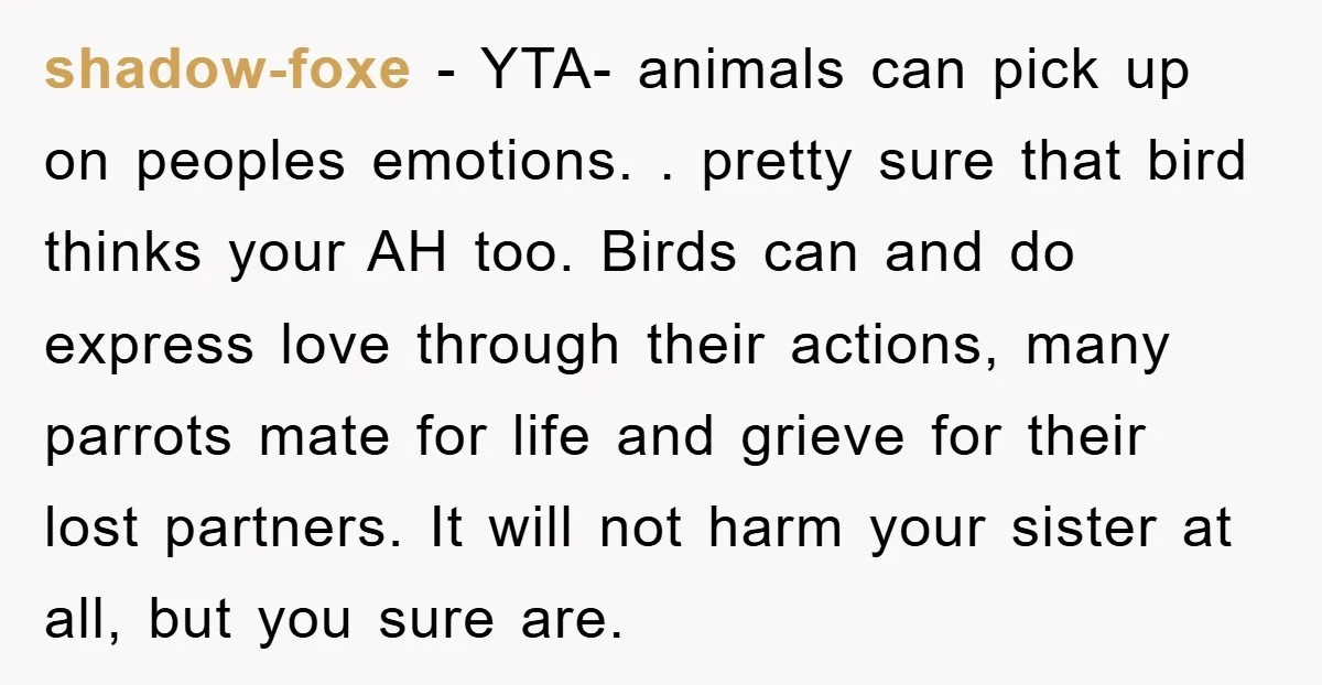 shadow-foxe − YTA- animals can pick up on peoples emotions. . pretty sure that bird thinks your AH too. Birds can and do express love through their actions, many parrots...