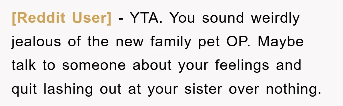 [Reddit User] − YTA. You sound weirdly jealous of the new family pet OP. Maybe talk to someone about your feelings and quit lashing out at your sister over nothing.