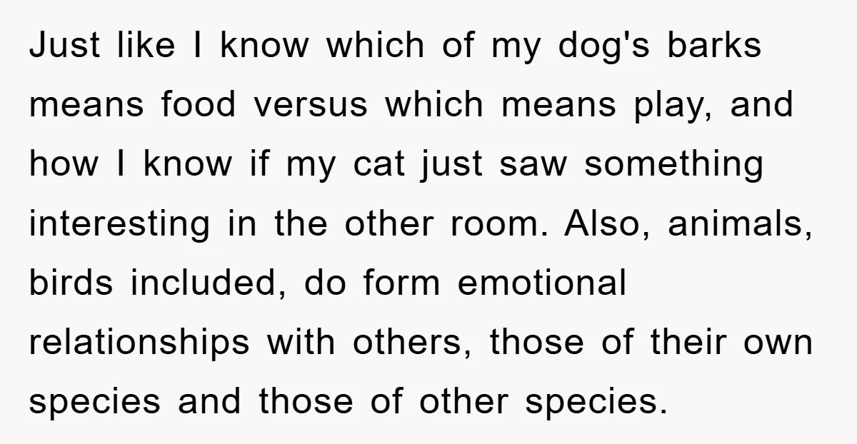 Just like I know which of my dog's barks means food versus which means play, and how I know if my cat just saw something interesting in the other room....