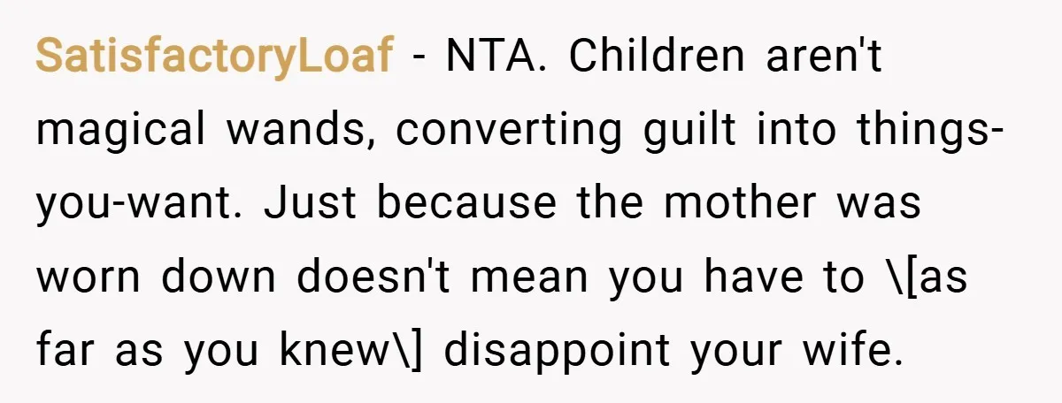 SatisfactoryLoaf − NTA. Children aren't magical wands, converting guilt into things-you-want. Just because the mother was worn down doesn't mean you have to \[as far as you knew\] disappoint your...