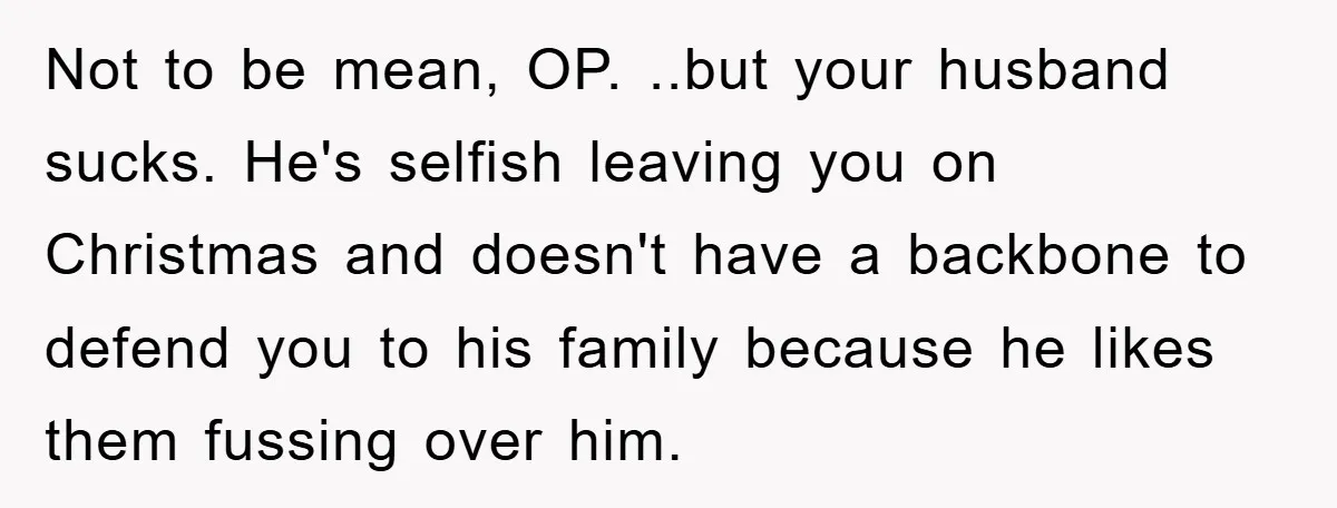 Not to be mean, OP. ..but your husband sucks. He's selfish leaving you on Christmas and doesn't have a backbone to defend you to his family because he likes them...