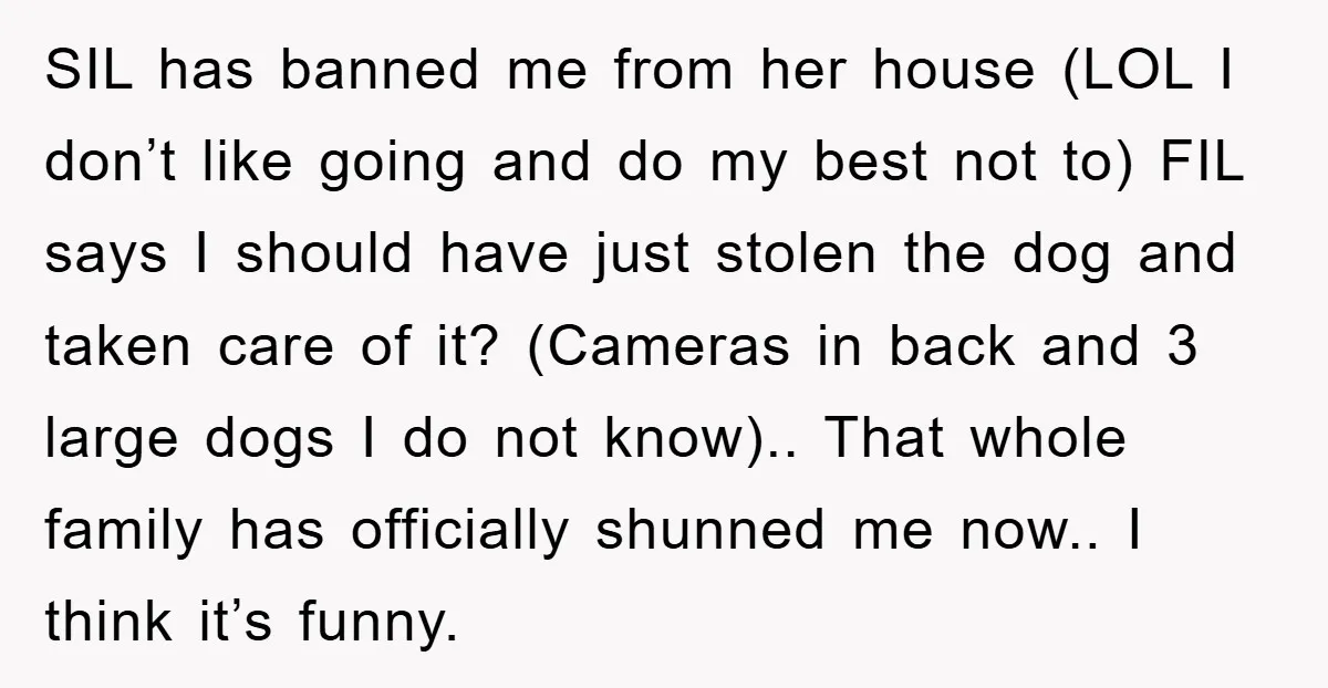 SIL has banned me from her house (LOL I don’t like going and do my best not to) FIL says I should have just stolen the dog and taken care...