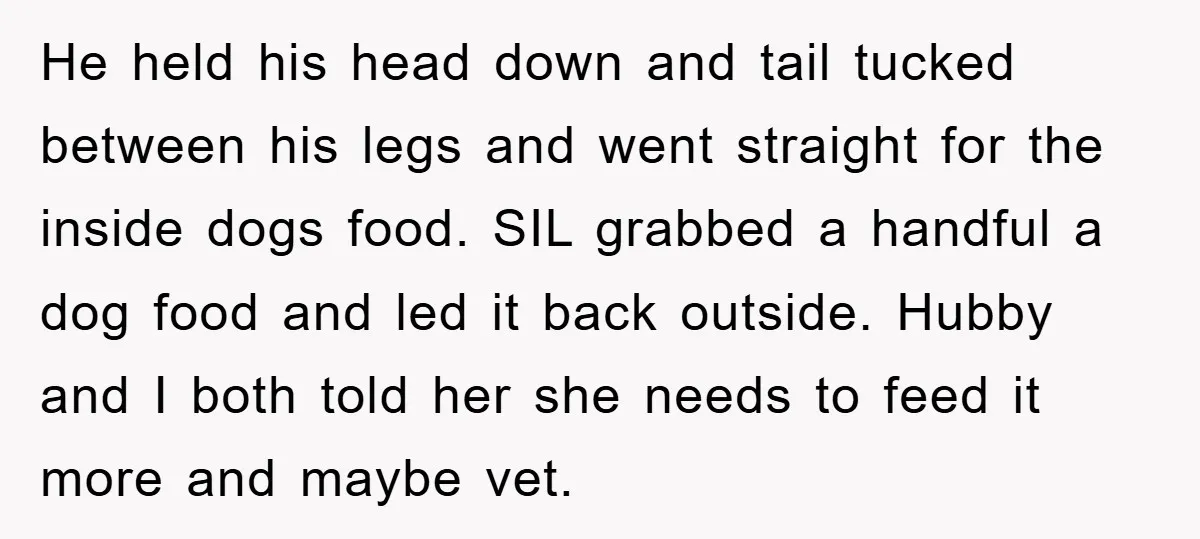 He held his head down and tail tucked between his legs and went straight for the inside dogs food. SIL grabbed a handful a dog food and led it back...