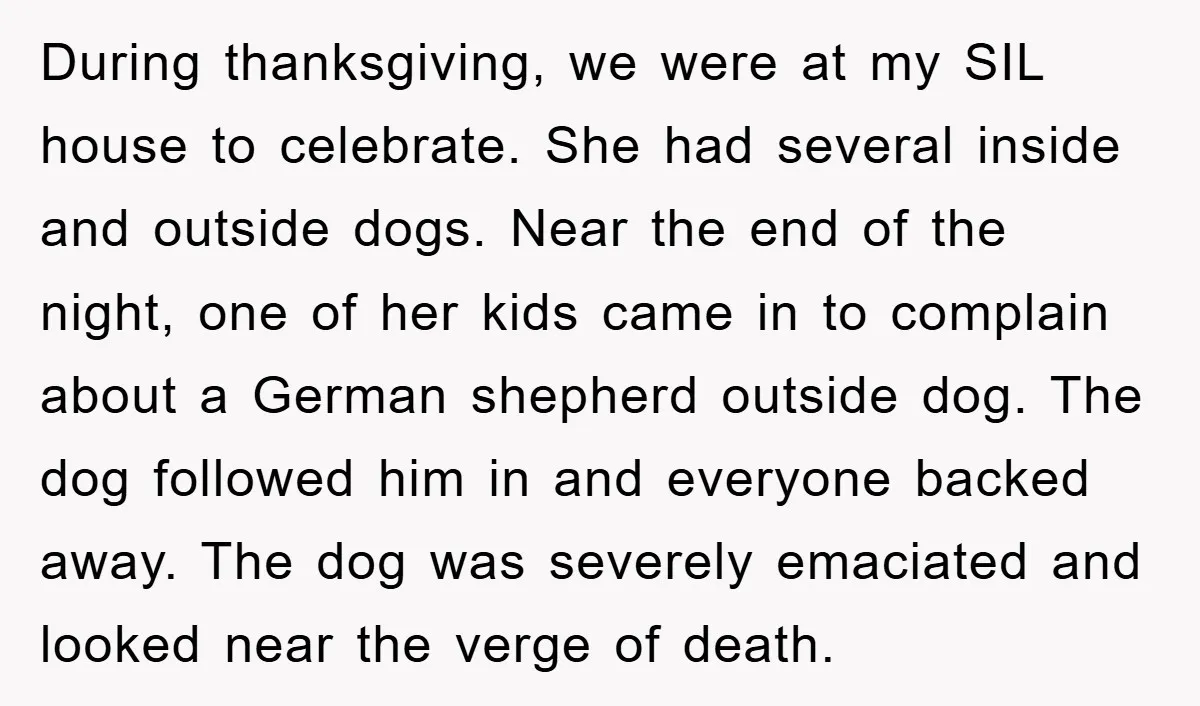 During thanksgiving, we were at my SIL house to celebrate. She had several inside and outside dogs. Near the end of the night, one of her kids came in to...