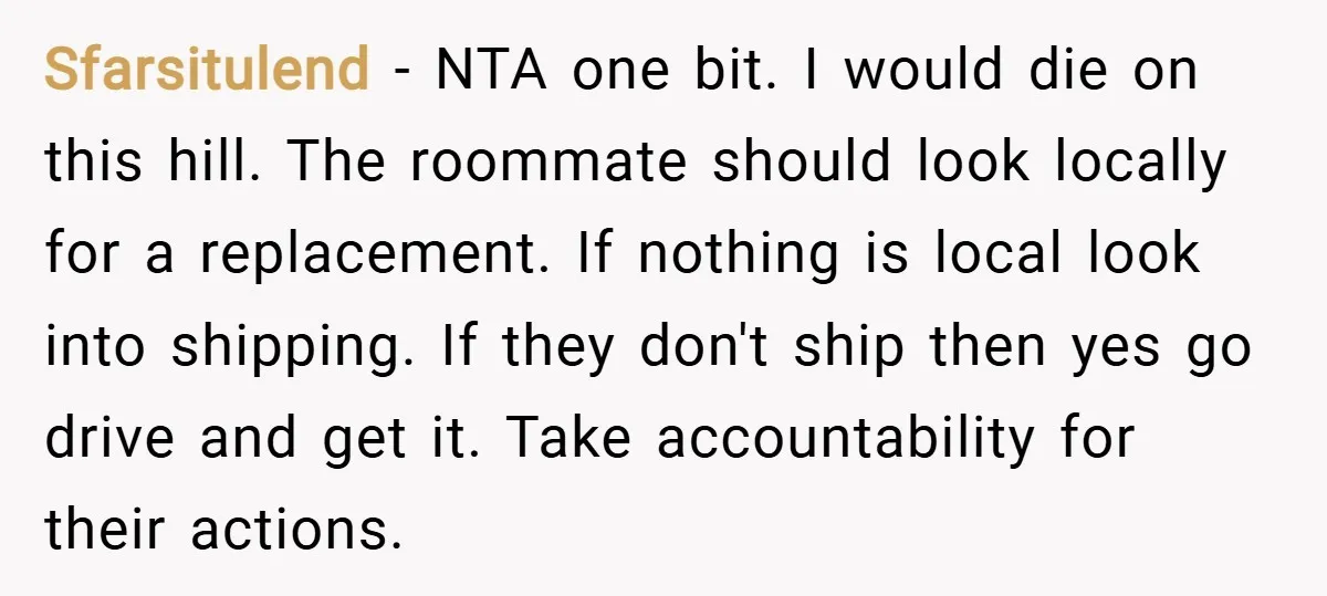 Sfarsitulend − NTA one bit. I would die on this hill. The roommate should look locally for a replacement. If nothing is local look into shipping. If they don't ship...