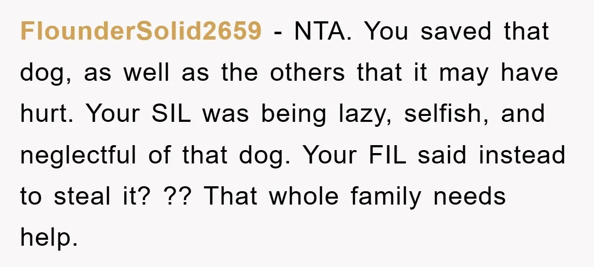 FlounderSolid2659 − NTA. You saved that dog, as well as the others that it may have hurt. Your SIL was being lazy, selfish, and neglectful of that dog. Your FIL...