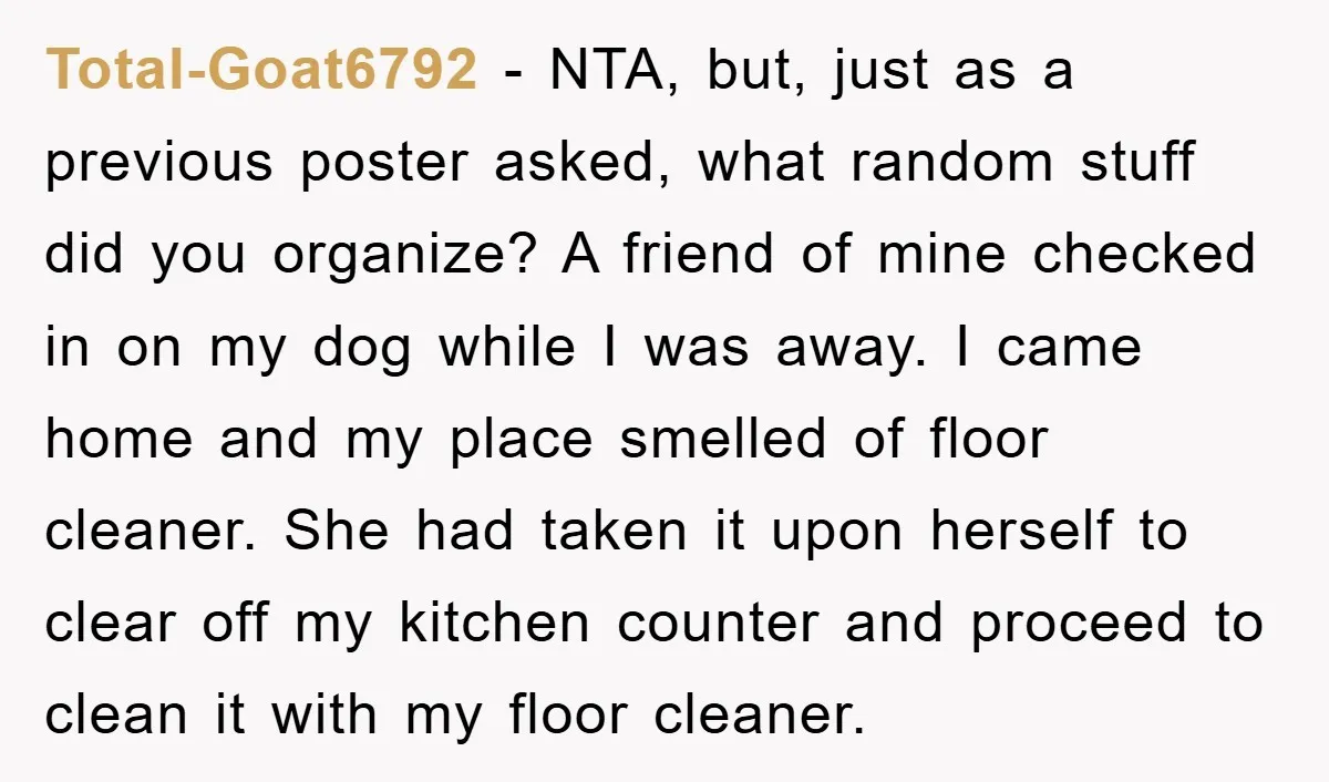 Total-Goat6792 − NTA, but, just as a previous poster asked, what random stuff did you organize? A friend of mine checked in on my dog while I was away. I...