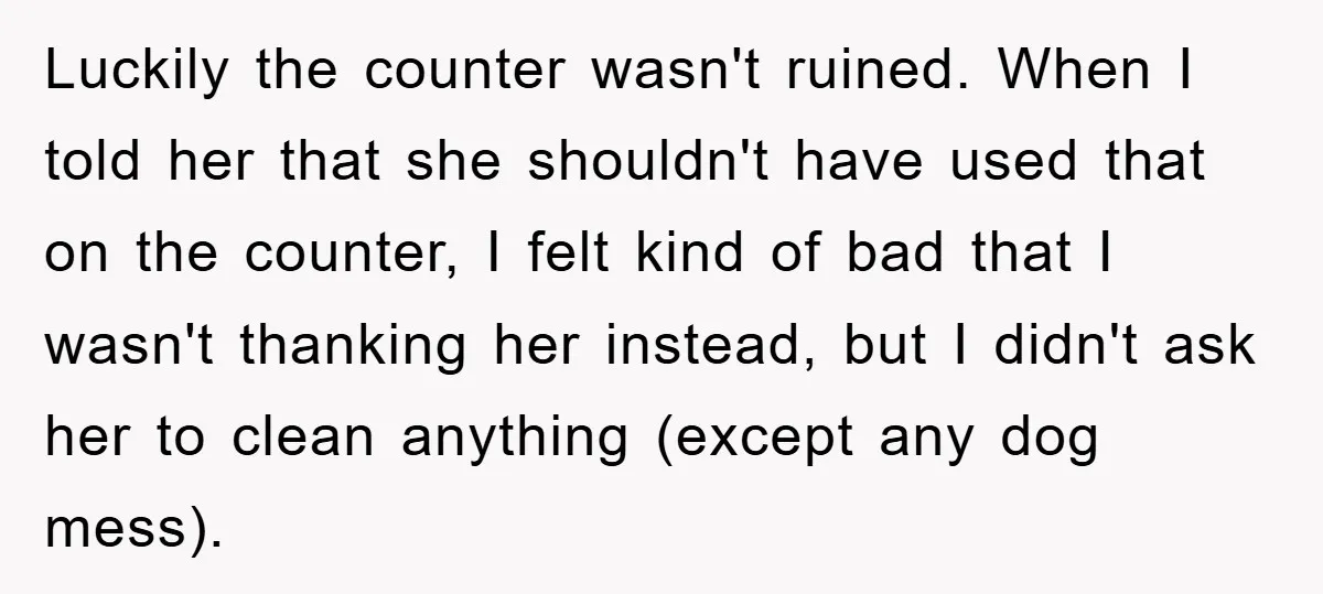 Luckily the counter wasn't ruined. When I told her that she shouldn't have used that on the counter, I felt kind of bad that I wasn't thanking her instead, but...