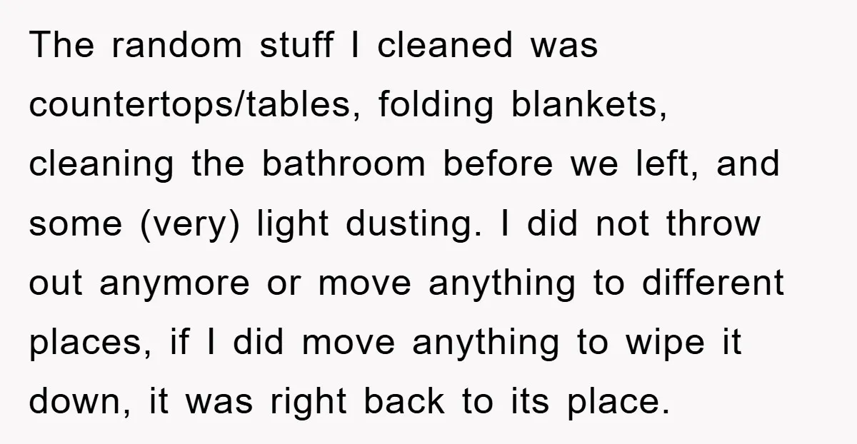 The random stuff I cleaned was countertops/tables, folding blankets, cleaning the bathroom before we left, and some (very) light dusting. I did not throw out anymore or move anything to...
