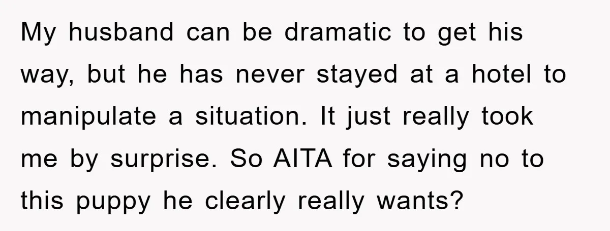 My husband can be dramatic to get his way, but he has never stayed at a hotel to manipulate a situation. It just really took me by surprise. So AITA...
