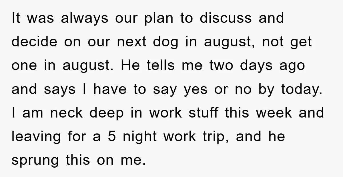 It was always our plan to discuss and decide on our next dog in august, not get one in august. He tells me two days ago and says I have...