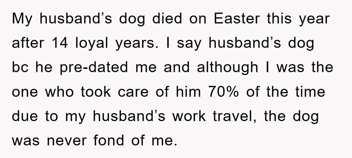 My husband’s dog died on Easter this year after 14 loyal years. I say husband’s dog bc he pre-dated me and although I was the one who took care of...