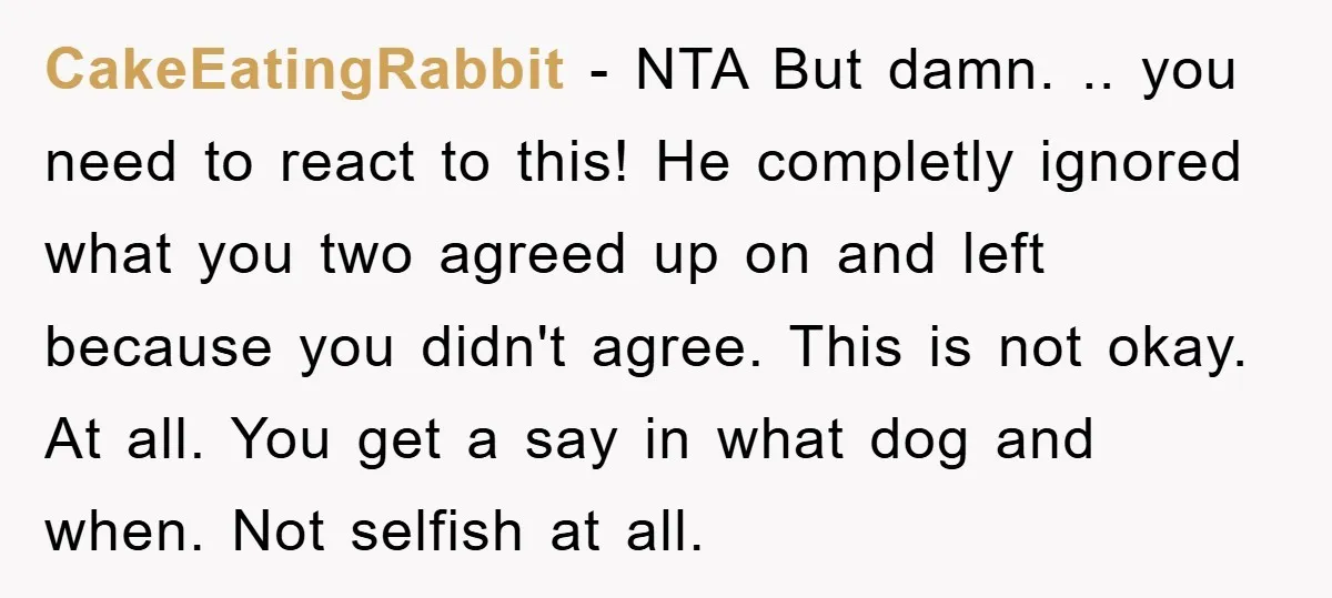 CakeEatingRabbit − NTA But damn. .. you need to react to this! He completly ignored what you two agreed up on and left because you didn't agree. This is not...