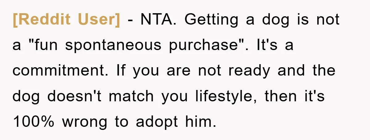 [Reddit User] − NTA. Getting a dog is not a "fun spontaneous purchase". It's a commitment. If you are not ready and the dog doesn't match you lifestyle, then it's...