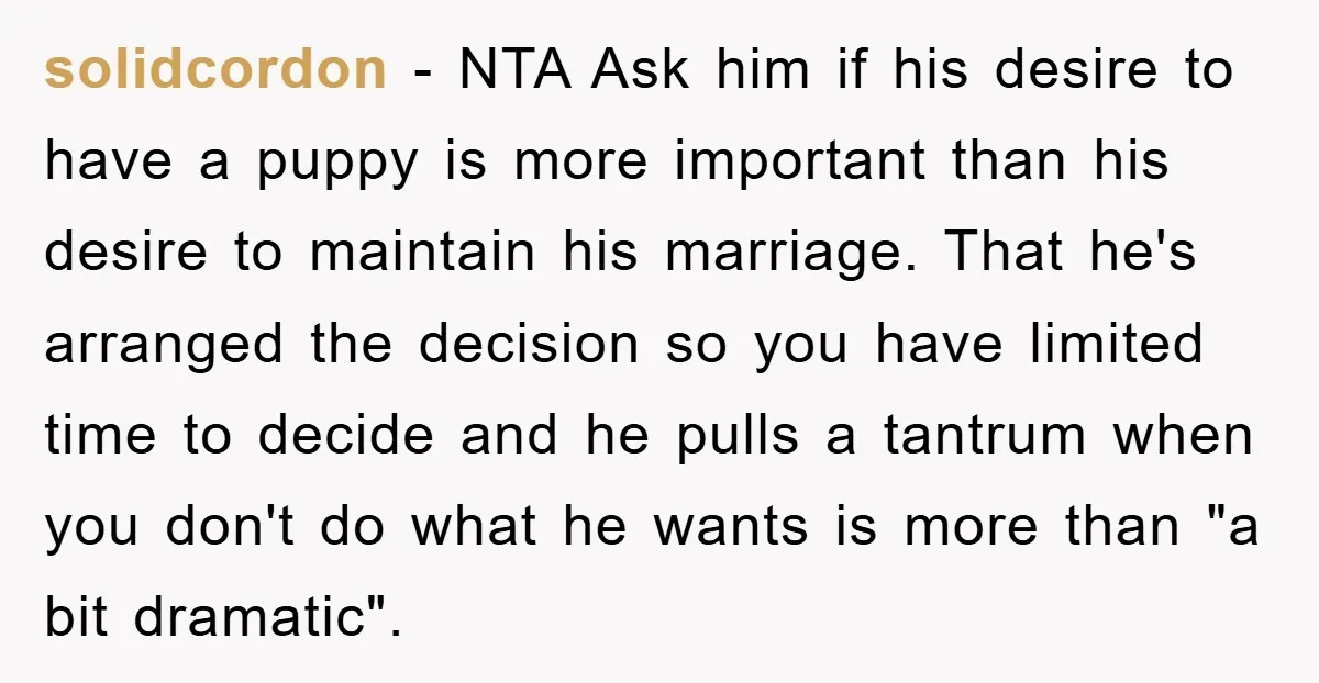 solidcordon − NTA Ask him if his desire to have a puppy is more important than his desire to maintain his marriage. That he's arranged the decision so you have...