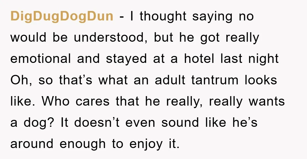 DigDugDogDun − I thought saying no would be understood, but he got really emotional and stayed at a hotel last night Oh, so that’s what an adult tantrum looks like....