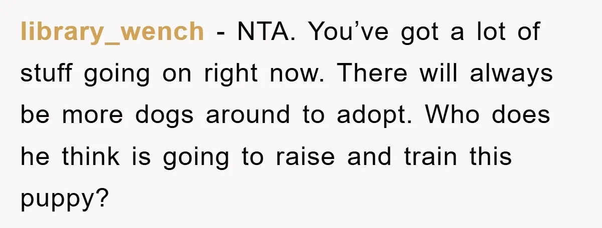 library_wench − NTA. You’ve got a lot of stuff going on right now. There will always be more dogs around to adopt. Who does he think is going to raise...