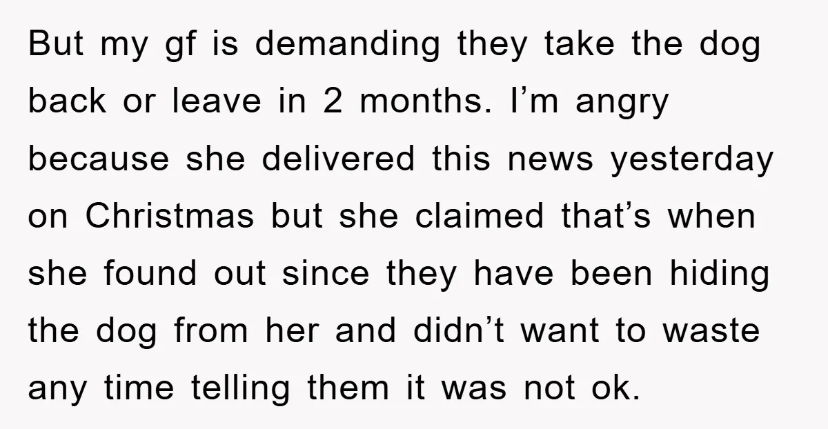 But my gf is demanding they take the dog back or leave in 2 months. I’m angry because she delivered this news yesterday on Christmas but she claimed that’s when...