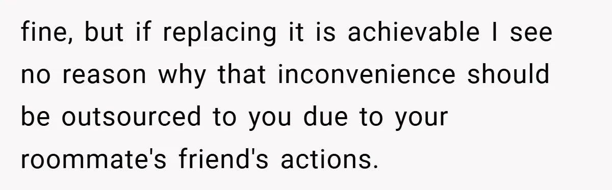fine, but if replacing it is achievable I see no reason why that inconvenience should be outsourced to you due to your roommate's friend's actions.