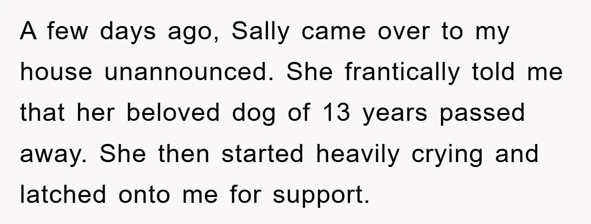 A few days ago, Sally came over to my house unannounced. She frantically told me that her beloved dog of 13 years passed away. She then started heavily crying and...