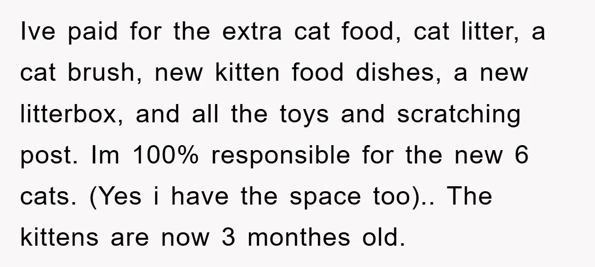 Ive paid for the extra cat food, cat litter, a cat brush, new kitten food dishes, a new litterbox, and all the toys and scratching post. Im 100% responsible for...