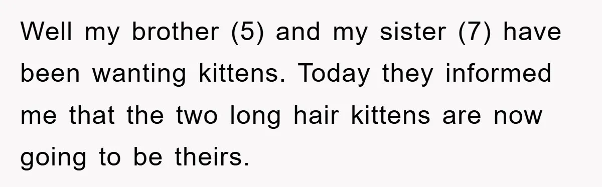 Well my brother (5) and my sister (7) have been wanting kittens. Today they informed me that the two long hair kittens are now going to be theirs.