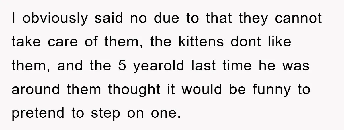 I obviously said no due to that they cannot take care of them, the kittens dont like them, and the 5 yearold last time he was around them thought it...