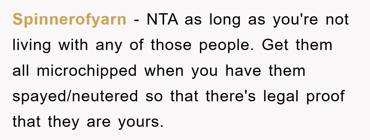 Spinnerofyarn − NTA as long as you're not living with any of those people. Get them all microchipped when you have them spayed/neutered so that there's legal proof that they...