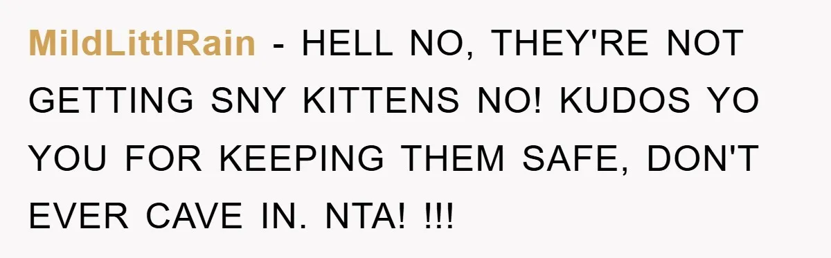 MildLittlRain − HELL NO, THEY'RE NOT GETTING SNY KITTENS NO! KUDOS YO YOU FOR KEEPING THEM SAFE, DON'T EVER CAVE IN. NTA! !!!