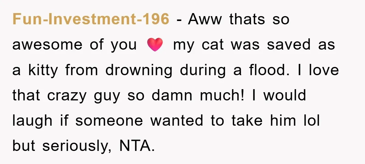 Fun-Investment-196 − Aww thats so awesome of you ❤️ my cat was saved as a kitty from drowning during a flood. I love that crazy guy so damn much! I...