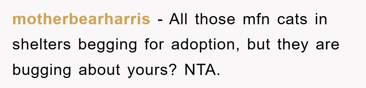 motherbearharris − All those mfn cats in shelters begging for adoption, but they are bugging about yours? NTA.