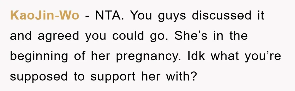 KaoJin-Wo − NTA. You guys discussed it and agreed you could go. She’s in the beginning of her pregnancy. Idk what you’re supposed to support her with?