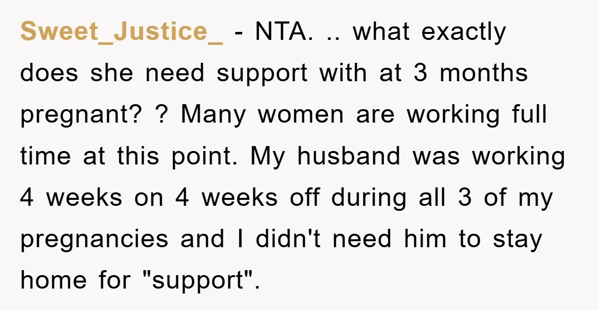 Sweet_Justice_ − NTA. .. what exactly does she need support with at 3 months pregnant? ? Many women are working full time at this point. My husband was working 4...