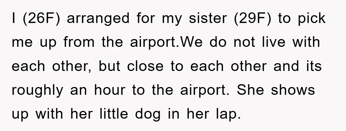 I (26F) arranged for my sister (29F) to pick me up from the airport.We do not live with each other, but close to each other and its roughly an hour...