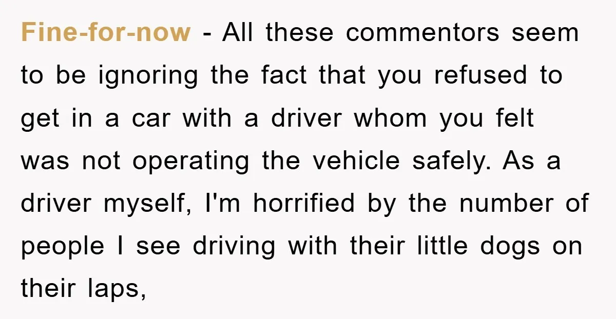 Fine-for-now − All these commentors seem to be ignoring the fact that you refused to get in a car with a driver whom you felt was not operating the vehicle...