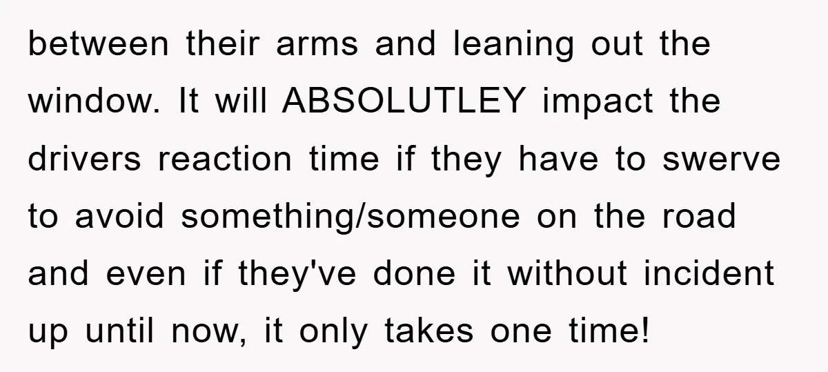 between their arms and leaning out the window. It will ABSOLUTLEY impact the drivers reaction time if they have to swerve to avoid something/someone on the road and even if...