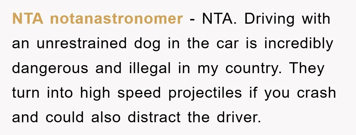 NTA notanastronomer − NTA. Driving with an unrestrained dog in the car is incredibly dangerous and illegal in my country. They turn into high speed projectiles if you crash and...