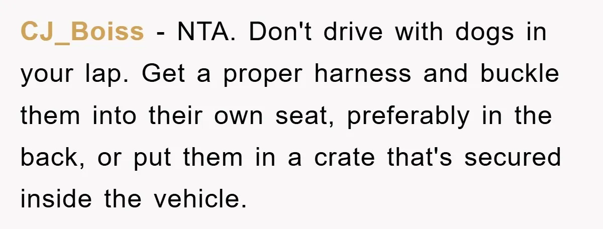 CJ_Boiss − NTA. Don't drive with dogs in your lap. Get a proper harness and buckle them into their own seat, preferably in the back, or put them in a...
