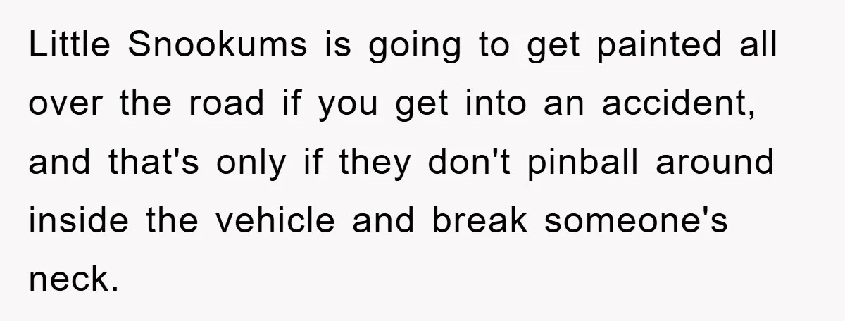 Little Snookums is going to get painted all over the road if you get into an accident, and that's only if they don't pinball around inside the vehicle and break...