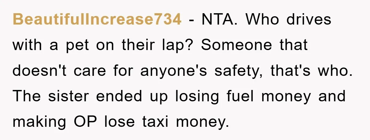 BeautifulIncrease734 − NTA. Who drives with a pet on their lap? Someone that doesn't care for anyone's safety, that's who. The sister ended up losing fuel money and making OP...