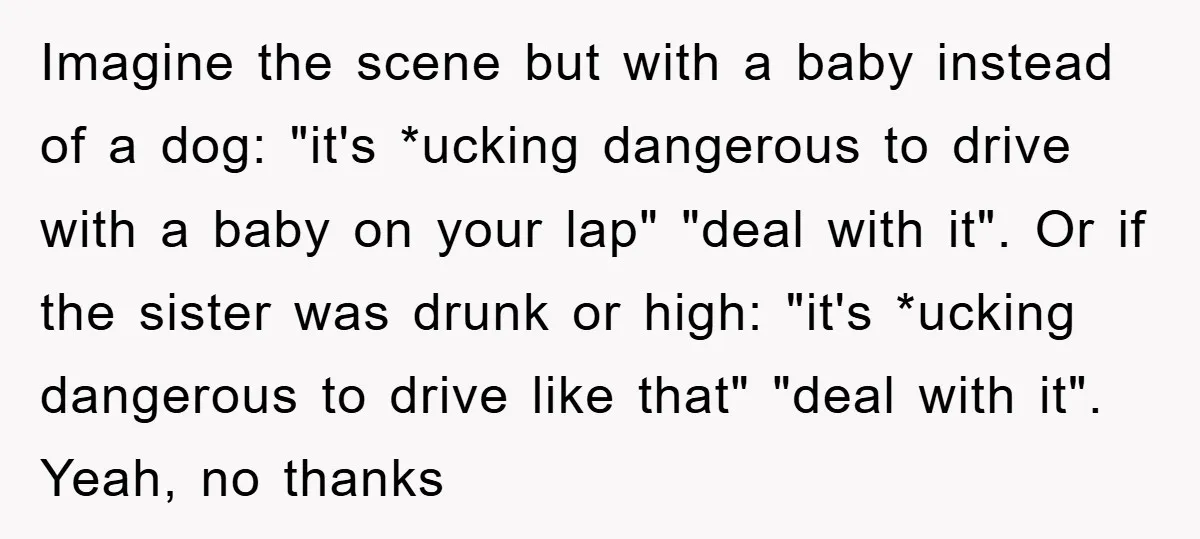 Imagine the scene but with a baby instead of a dog: "it's *ucking dangerous to drive with a baby on your lap" "deal with it". Or if the sister was...