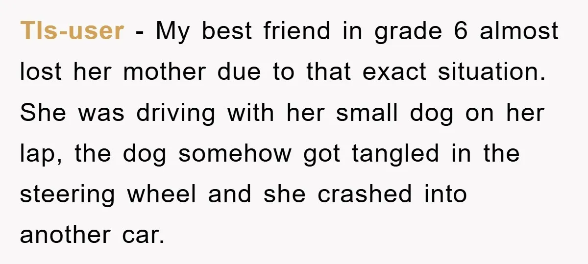 Tls-user − My best friend in grade 6 almost lost her mother due to that exact situation. She was driving with her small dog on her lap, the dog somehow...