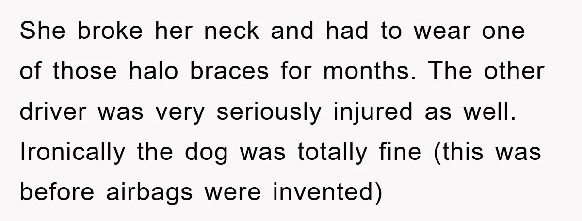 She broke her neck and had to wear one of those halo braces for months. The other driver was very seriously injured as well. Ironically the dog was totally fine...