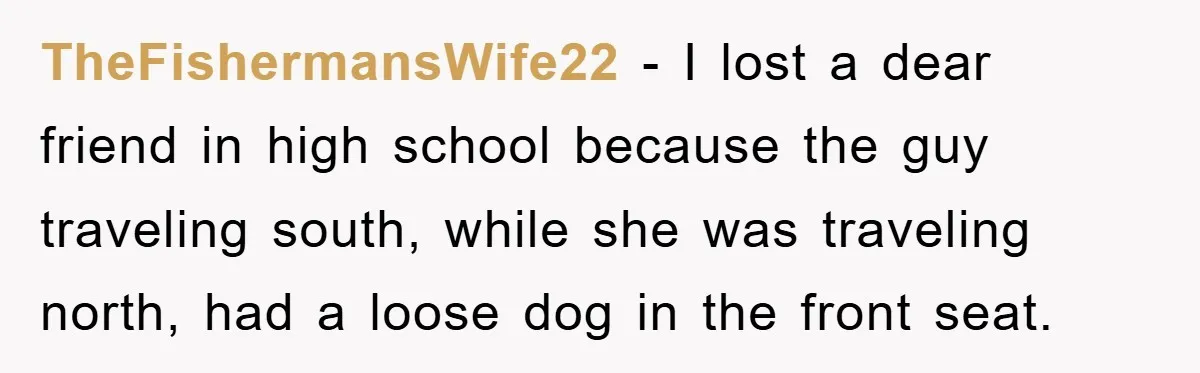 TheFishermansWife22 − I lost a dear friend in high school because the guy traveling south, while she was traveling north, had a loose dog in the front seat.