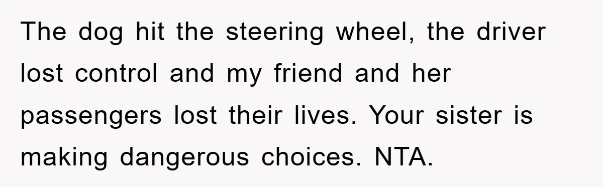 The dog hit the steering wheel, the driver lost control and my friend and her passengers lost their lives. Your sister is making dangerous choices. NTA.